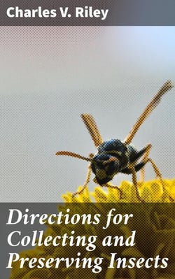 Directions for Collecting and Preserving Insects - A Practical Guide to Insect Collection and Preservation