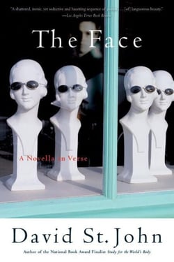 The Face - A Novella in Verse