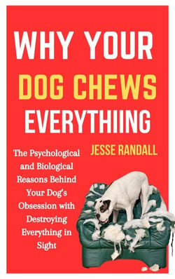 Why Your Dog Chews Everything: The Psychological and Biological Reasons Behind Your Dog’s Obsession With Destroying Everything in Sight