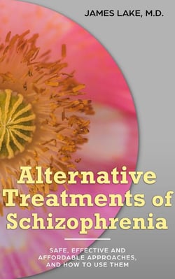 Alternative Treatments of Schizophrenia: Safe, Effective and Affordable Approaches and How to Use Them - Alternative and Integrative Treatments in Mental Health Care, #10