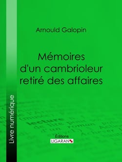 Mémoires d'un cambrioleur retiré des affaires