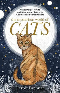 The Mysterious World of Cats - The ultimate gift book for people who are bonkers about their cat