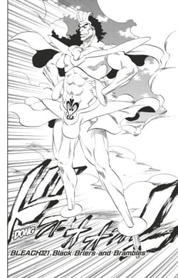 Bleach - T37 - Chapitre 321 - Black Briers and Brambles