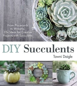 DIY Succulents - From Placecards to Wreaths, 35+ Ideas for Creative Projects with Succulents