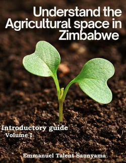 Understand The Agricultural Space in Zimbabwe - 1, #1