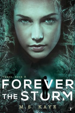Forever the Storm - The Taken Series, #3