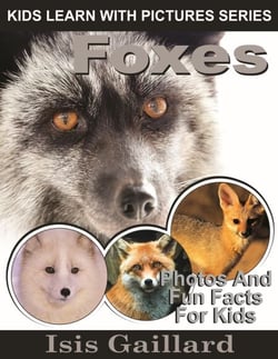 Foxes Photos and Fun Facts for Kids - Kids Learn With Pictures, #23