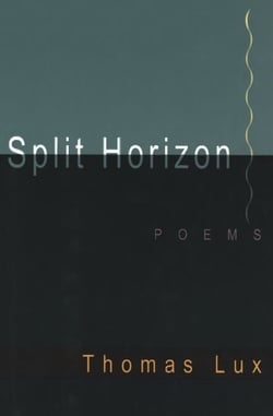 Split Horizon