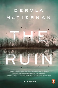 The Ruin - A Novel