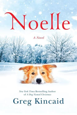 Noelle - A Novel