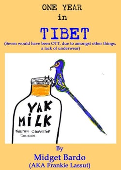 One Year in Tibet - Fun and Fantasy, #7