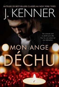 Mon ange déchu - La série de l'Ange déchu, #1