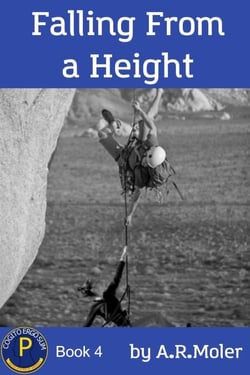 Falling From a Height - Division P, #4