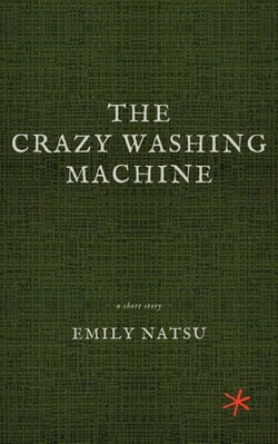 The Crazy Washing Machine