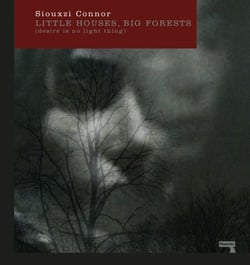 Little Houses, Big Forests - Desire Is No Light Thing
