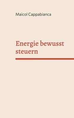 Energie bewusst steuern - Praktisches Handbuch für mehr Fokus, Klarheit und Lebensqualität