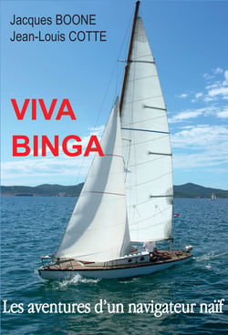Viva Binga - Les aventures d'un navigateur naïf