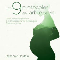 Les 9 protocoles de l’arbre de vie - Guide d'accompagnement à la grossesse pour les merveilleuses femmes créatrices