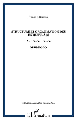 Structure et organisation des entreprises - Année de licence - MSG-EGEO