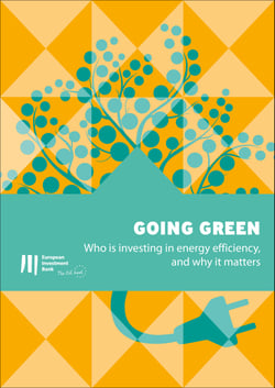 Going green - Who is investing in energy efficiency, and why it matters