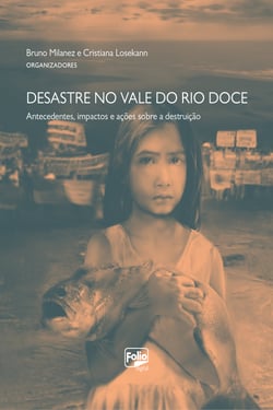 Desastre no Vale do Rio Doce - Antecedentes, impactos e ações sobre a destruição