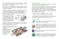 Les sortilèges de Verte