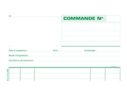 Manifold Exacompta - 21 x 18 cm - 50 dupli - carnet de commandes
