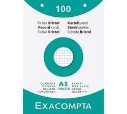 Fiches bristol quadrillé 5 x 5 mm- Exacompta - 100 feuilles perforées - A5 14,8 x 21 cm - 205 g/m² - Blanc