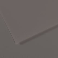 Feuille MI-TEINTES® Canson - 50 x 65 cm - 160g/m² - Graphite