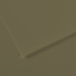 Feuille MI-TEINTES® Canson - 50 x 65 cm - 160g/m² - Vert olive