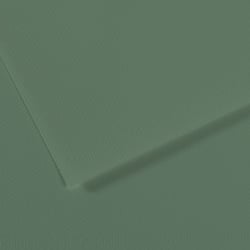 Feuille MI-TEINTES® Canson - 50 x 65 cm - 160g/m² - Sauge