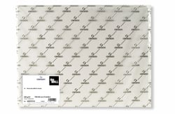 Feuille The Wall - Canson - 70 x 100 cm - 220g - blanc