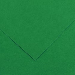 Canson Vivaldi - Papier - A4 - 1 feuille - Vert mousse n°30 - 240g/m²