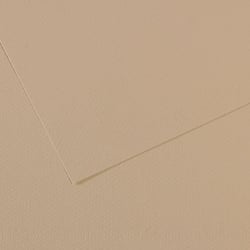 Feuille MI-TEINTES® Canson - 50 x 65 cm - 160g/m² - gris