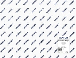 Feuille Illustration-Bd Canson 50x65 250gr - Blanc