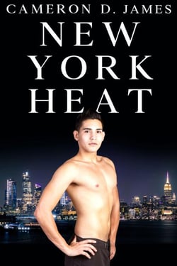 New York Heat - The Go-Go Boys of Club 21, #1