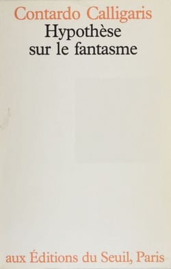 Hypothèse sur le fantasme