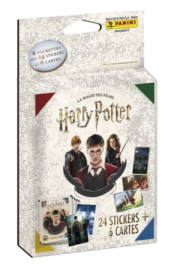 6 pochettes Harry Potter - Panini