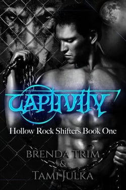 Captivity - Hollow Rock Shifters, #1