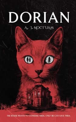 Dorian, the stray cat