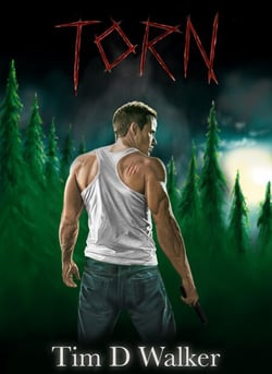 Torn - A Michael Ray Series, #1