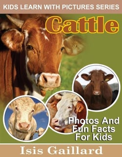 Cattle Photos and Fun Facts for Kids - Kids Learn With Pictures, #106