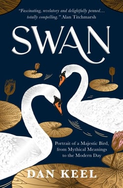 Swan - Portrait of a Majestic Bird, from Mythical Meanings to the Modern Day