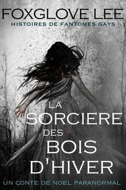 La sorcière des bois d'hiver - Histoires de fantômes gays, #1