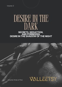 Desire in the Dark - Secrets Seduction and Forbidden Desire in the Shadow of the Night - A Captivating SM &amp; BDSM Book Series, #3