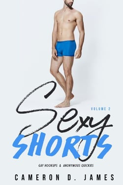 Sexy Shorts: Volume Two: Gay Hookups and Anonymous Quickies - Sexy Shorts, #2