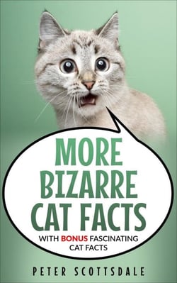 More Bizarre Cat Facts with Bonus Fascinating Cat Facts - Our Bizarre Cats Series, #2