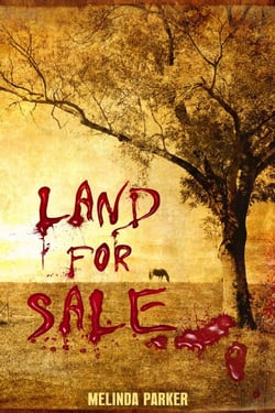 Land For Sale - Ben and Mark Detective Investigator Thriller Mystery Series
