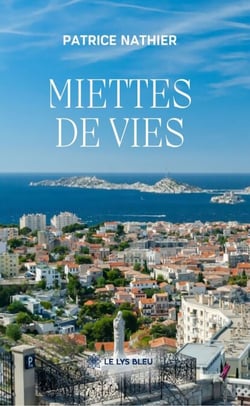 Miettes de vies