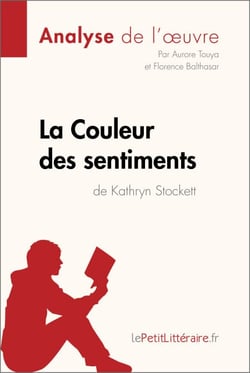 La Couleur des sentiments de Kathryn Stockett (Analyse de l'oeuvre) - Analyse complète et résumé détaillé de l'oeuvre